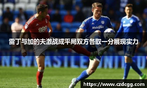 雷丁与加的夫激战成平局双方各取一分展现实力